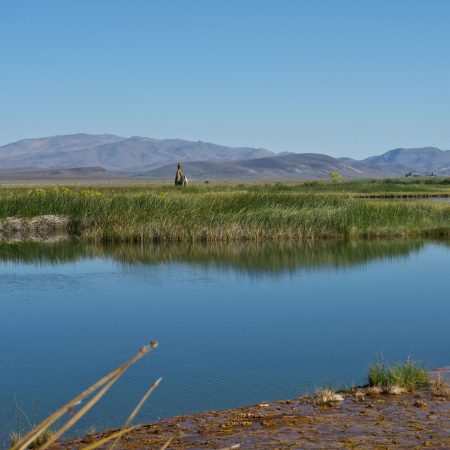 Burning Man's Fly Ranch in Nevada