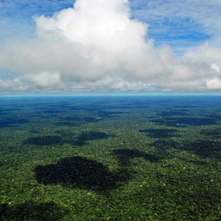 The Amazon rainforest as seen from the cloud line