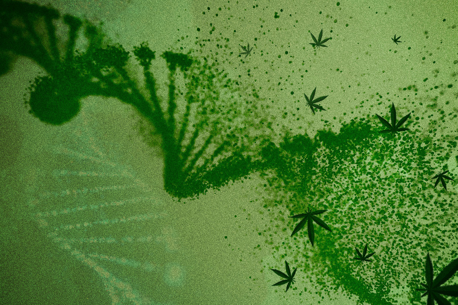 The 23andMe of Cannabis Tailors Strains to Your Exact DNA Profile