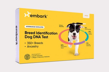 Embark Dog DNA Test Kit