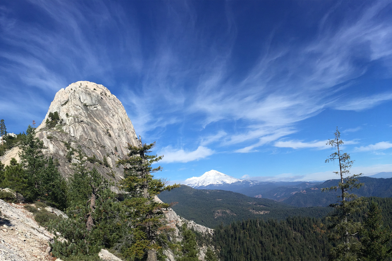 Shasta-Trinity National Forest