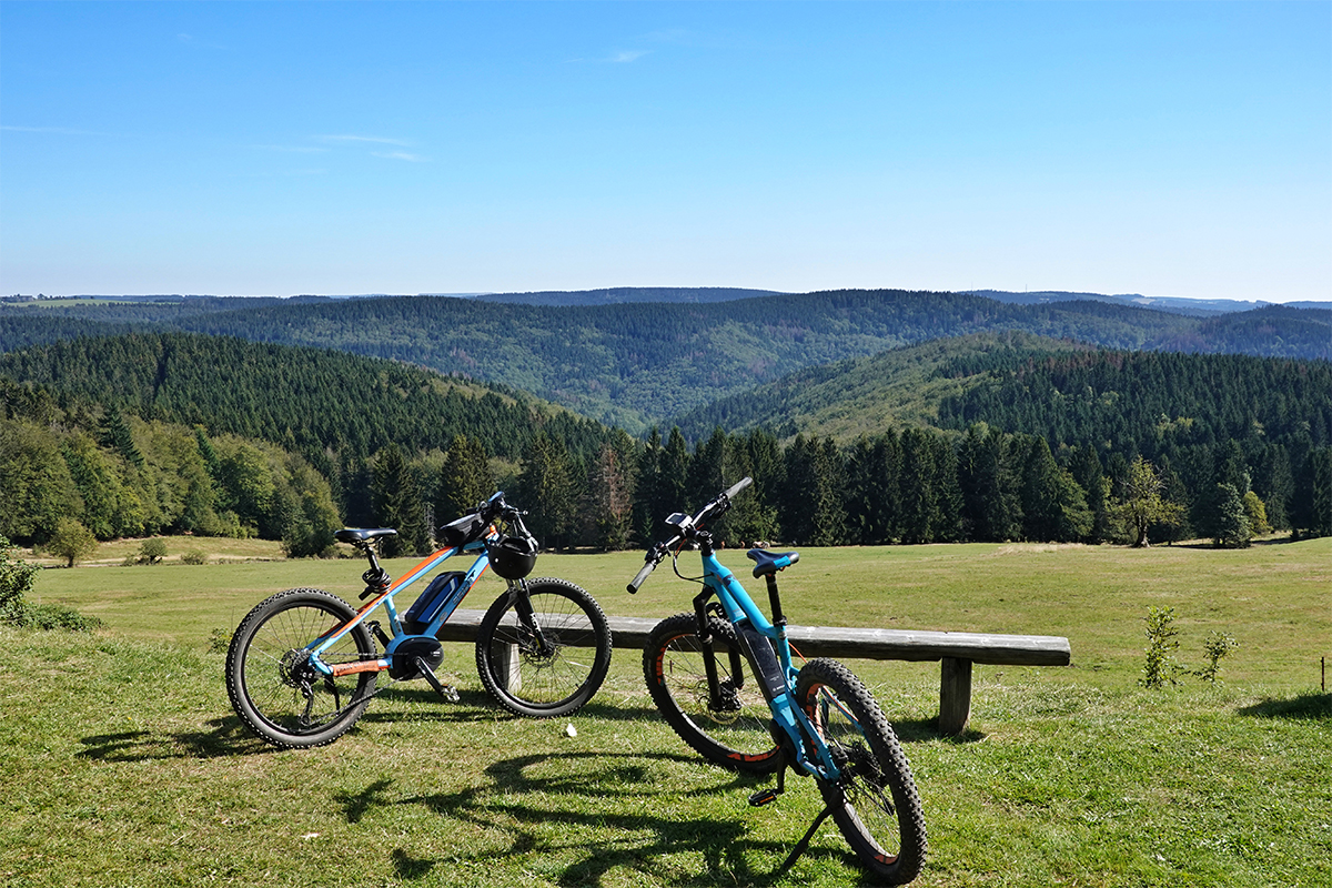 electric bikes