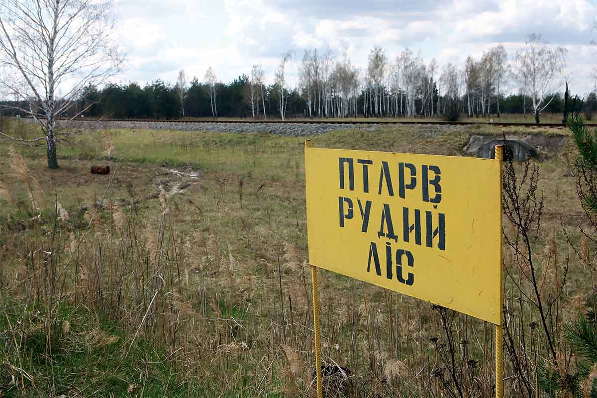 The sign marks the territory of the Red Forest, Kyiv Region, northern Ukraine