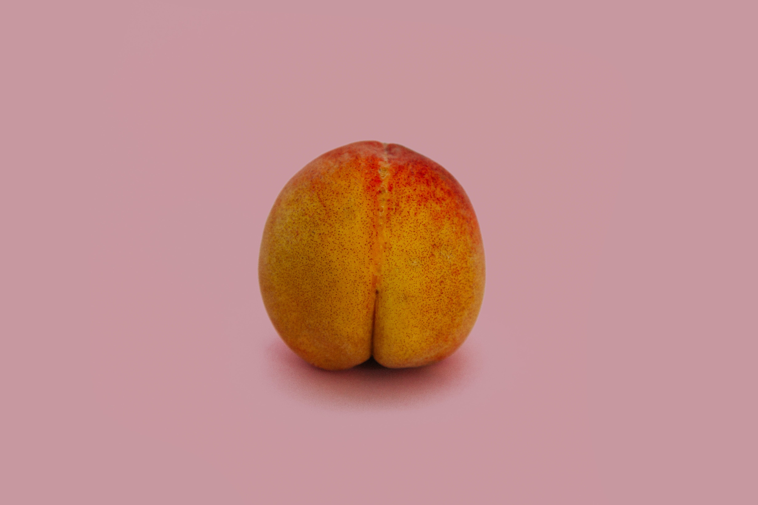 Peach on dusty pink background.