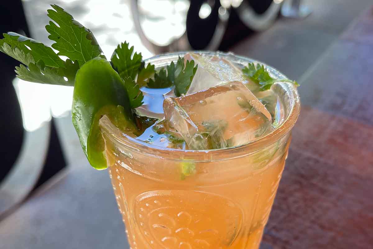 Cilantro-Tequila Tonic by Lanie Bayless