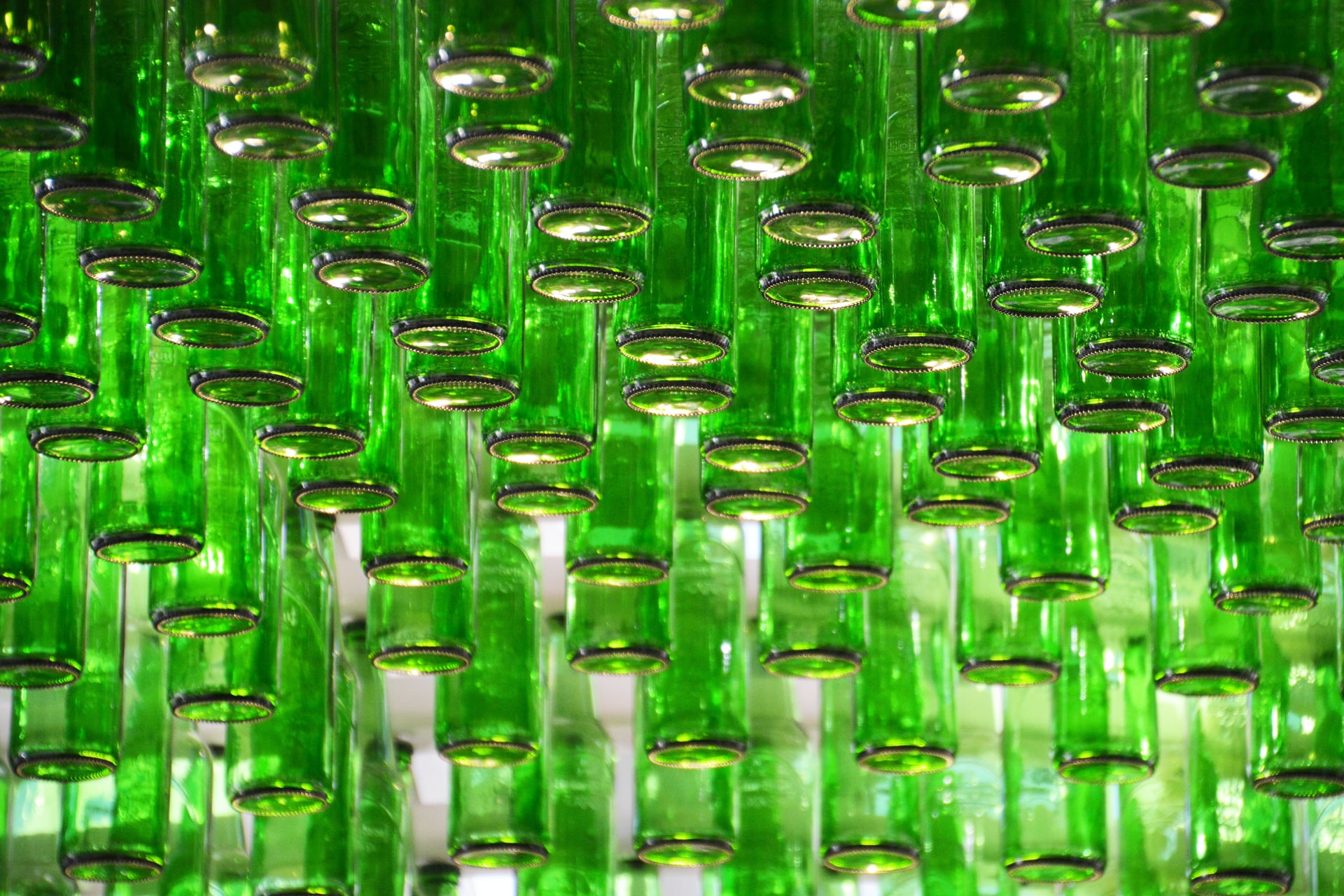 Beer bottles