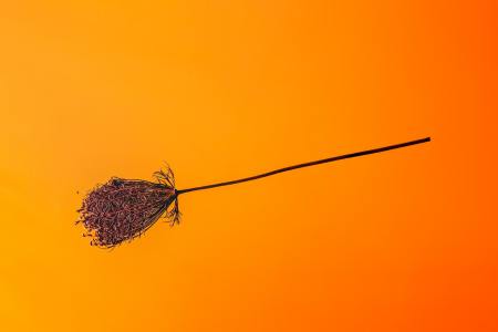 Broom on a yellow and orange background. In German wine regions, a broom above a door signals a pop-up wine bar and restaurant.