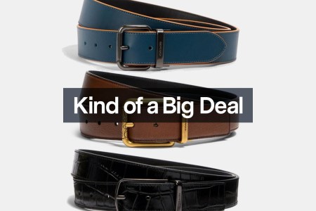 Coach Belts