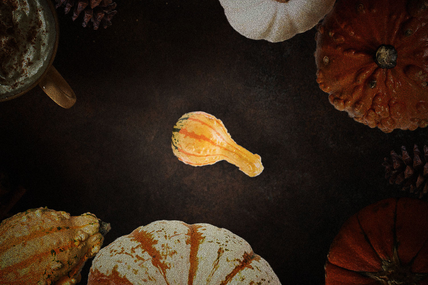 A small gourd meant to represent a penis against a black background is surrounded by larger gourds.