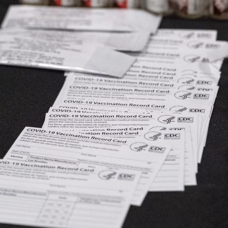 U.S. Customs and Border Protection puts seized counterfeit Covid-19 vaccination cards on display.