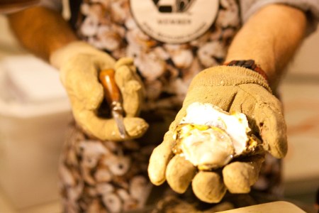 A freshly shucked Maryland oyster