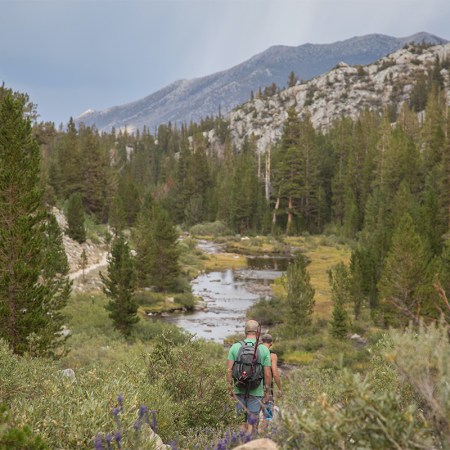 A pair of hikers walk through the wilderness towards a river surrounded by green trees with hills in the background