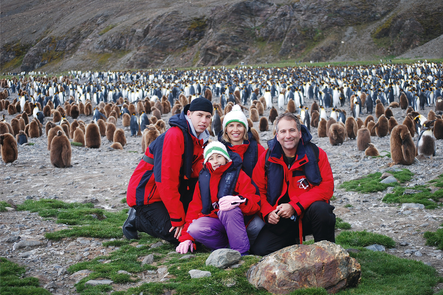 A family of four on South Georgia Island