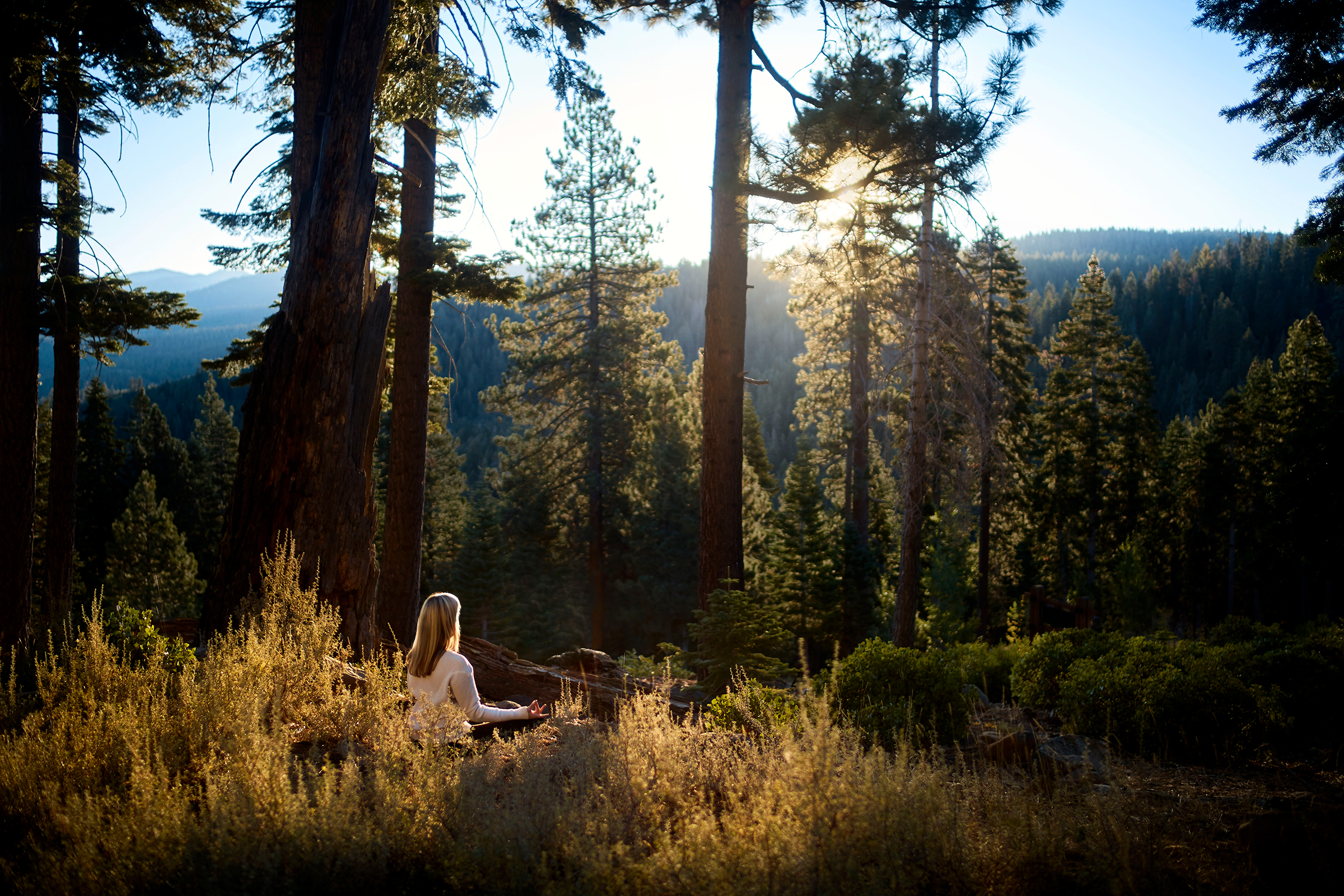 The greenery surrounding the Ritz Carlton in Lake Tahoe.