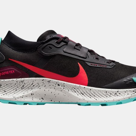 Nike Pegasus Trail 3 GORE-TEX Running Shoe