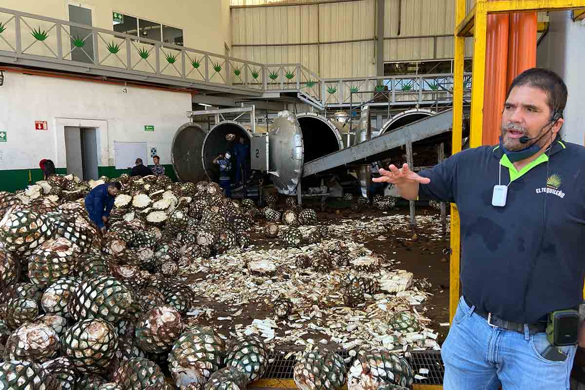 Distillery tour of El Tequileño with master distiller Antonio Salles