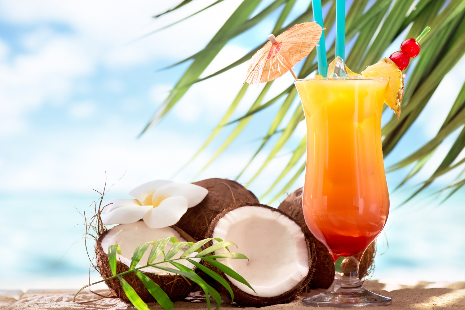 A colorful sex on the beach cocktail next to some coconuts. Beach scene in the background.