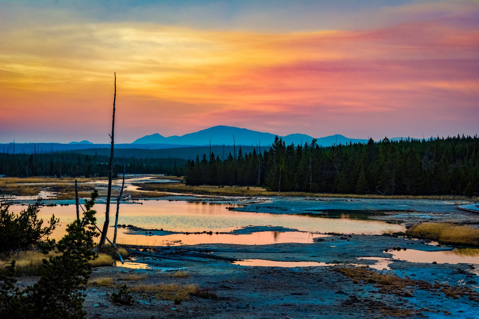 Yellowstone