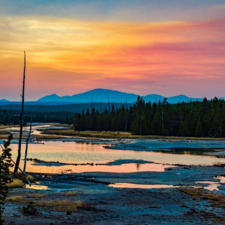 Yellowstone