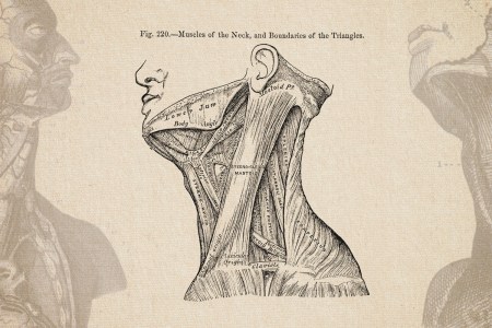 Strength Training Your Jaw Is the Latest, Dumbest Craze in Men’s Fitness