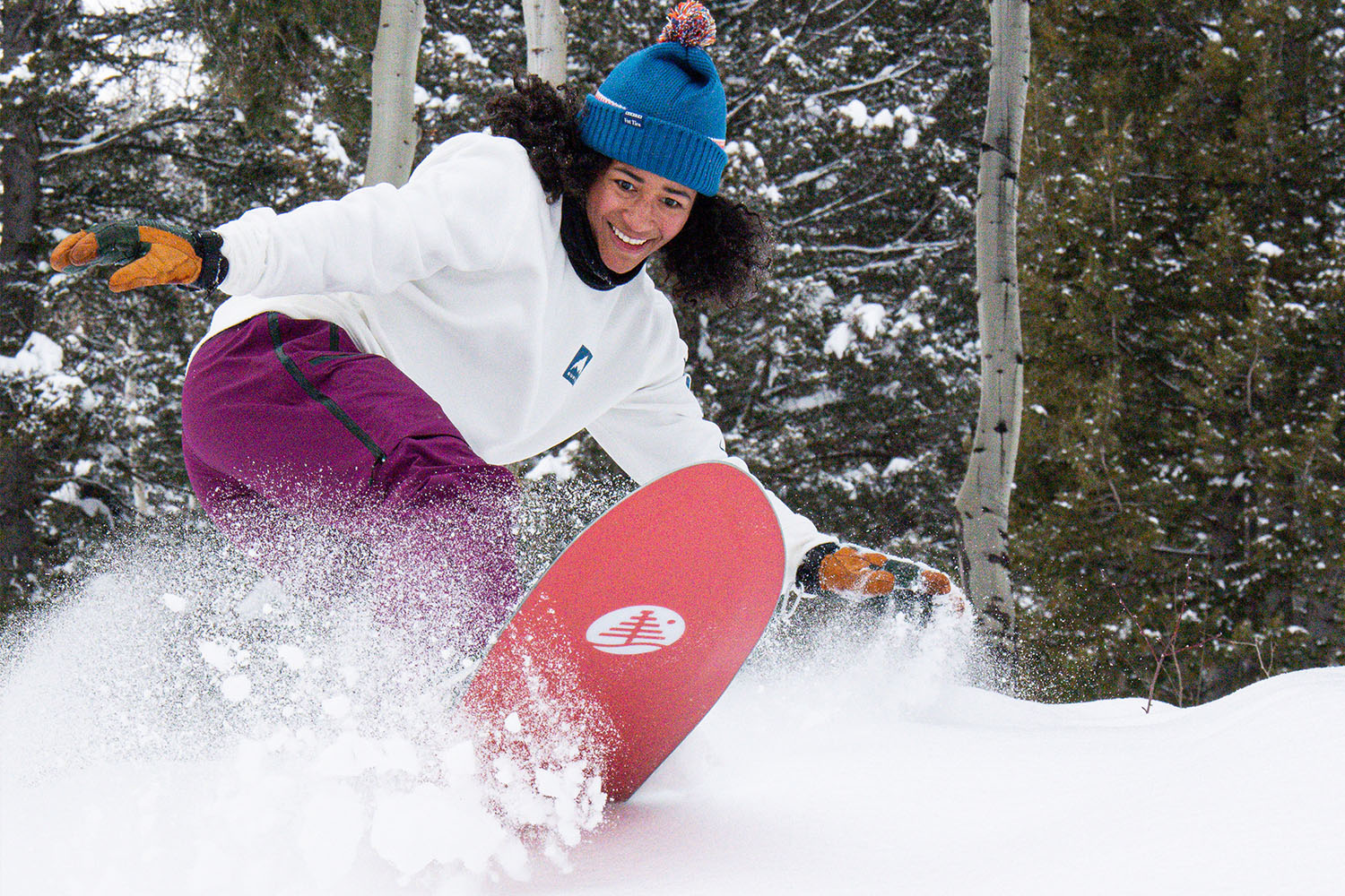 a snowboard snowboarding in Fat Tire x Burton gear