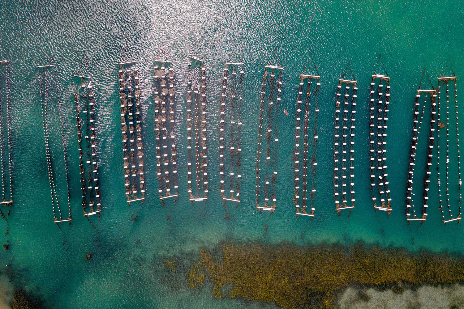 silos of farms in the water in Carlsbad, CA