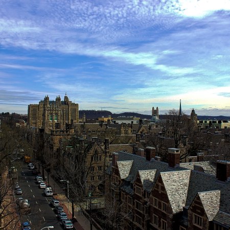 Yale University