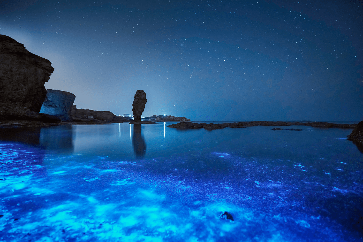 Bioluminescent beach in the Yellow Sea 