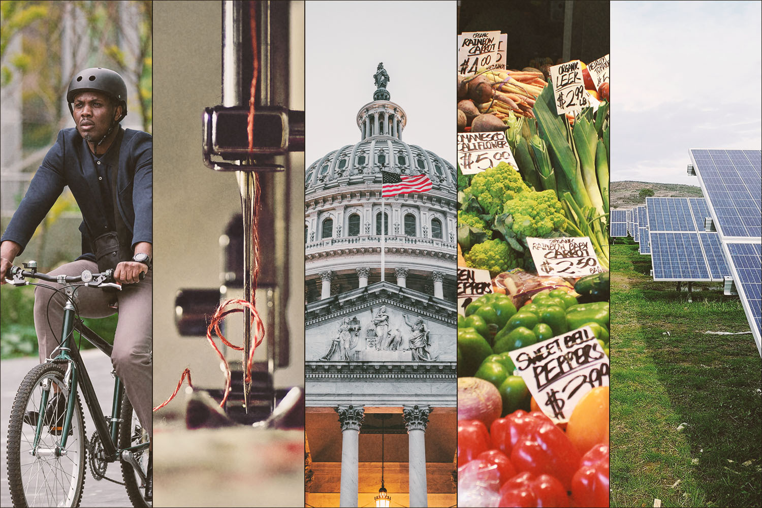 A photo collage of a man biking, a sewing machine, the U.S. Capitol, a farmers market and solar panels in a field. We take a look at why you should give your time, not your money, to fight climate change.