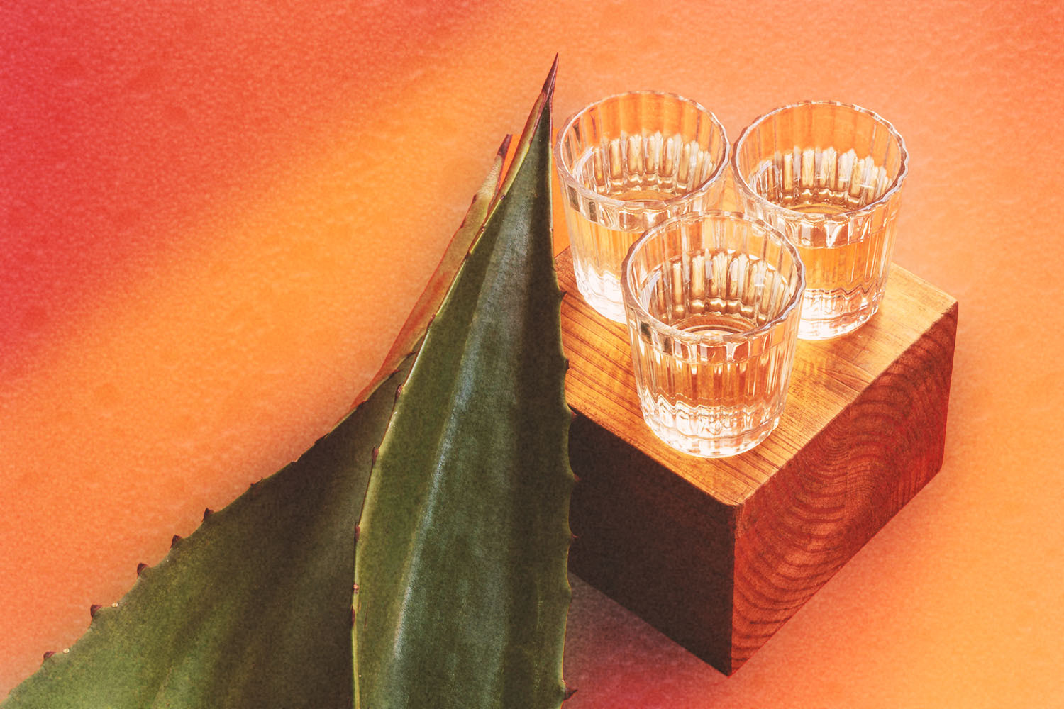 three glasses of mezcal and an agave plant on a table. Mezcal is a rising spirits category, but fans and professionals in the industry aren't sure how it'll handle success.