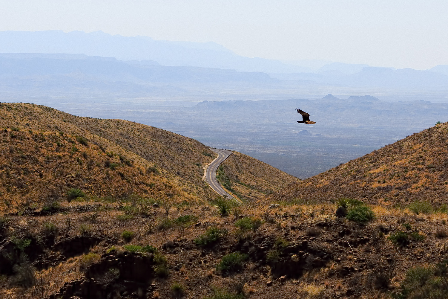 Big Bend State Park