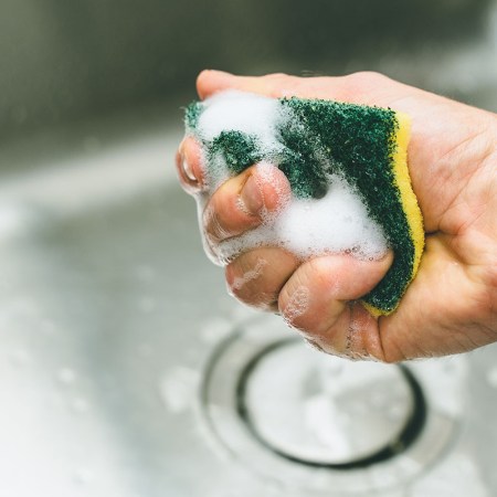 A man holding a kitchen sponge.