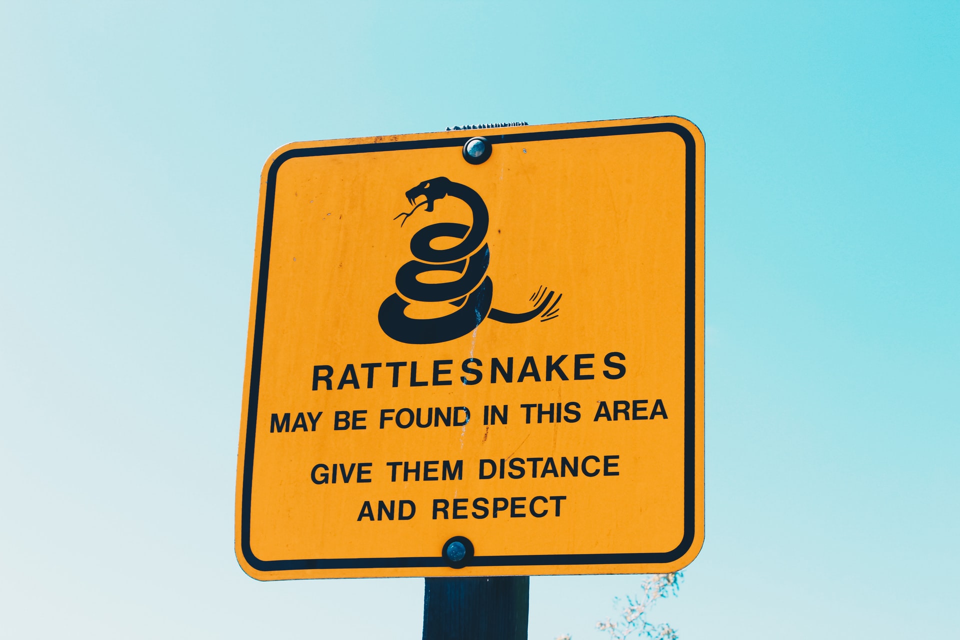 Rattlesnake sign