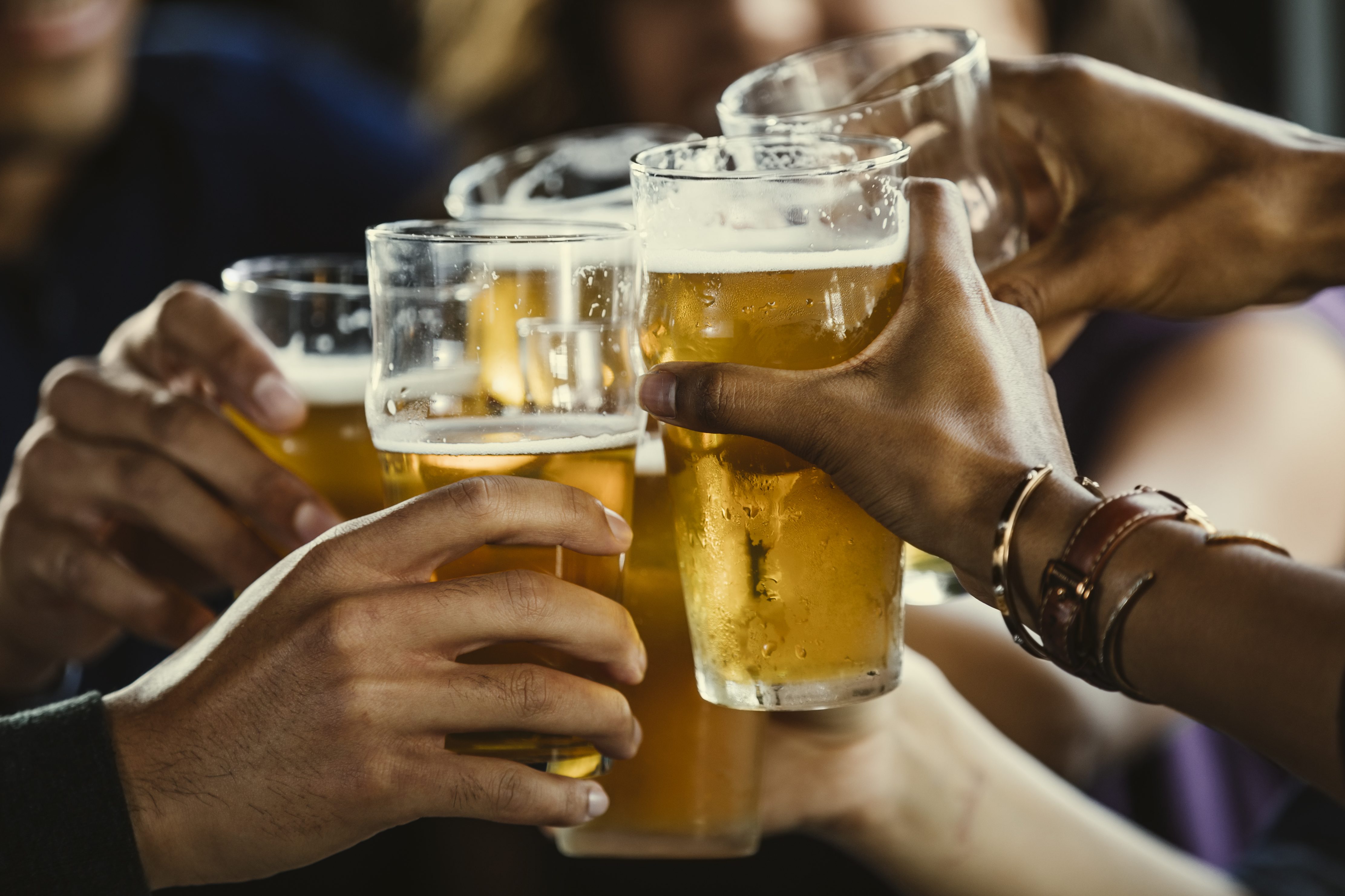 A group of friends toast with beer glasses at a bar