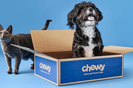 a cat and a dog against a blue background in a Chewy box