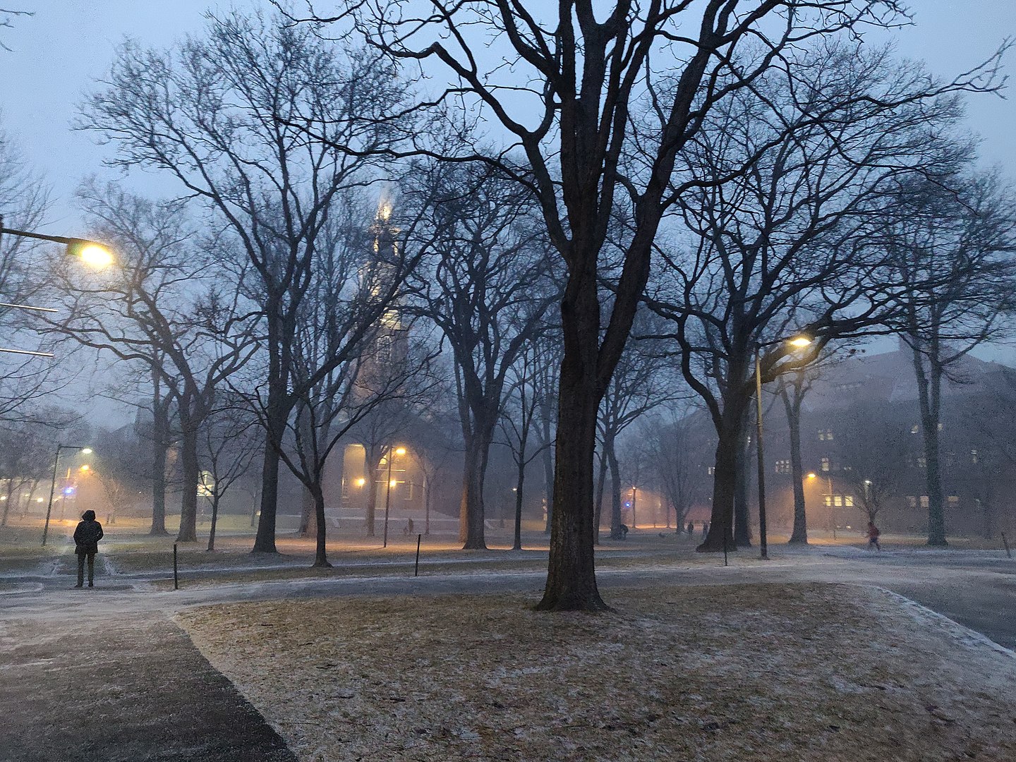 Harvard Yard