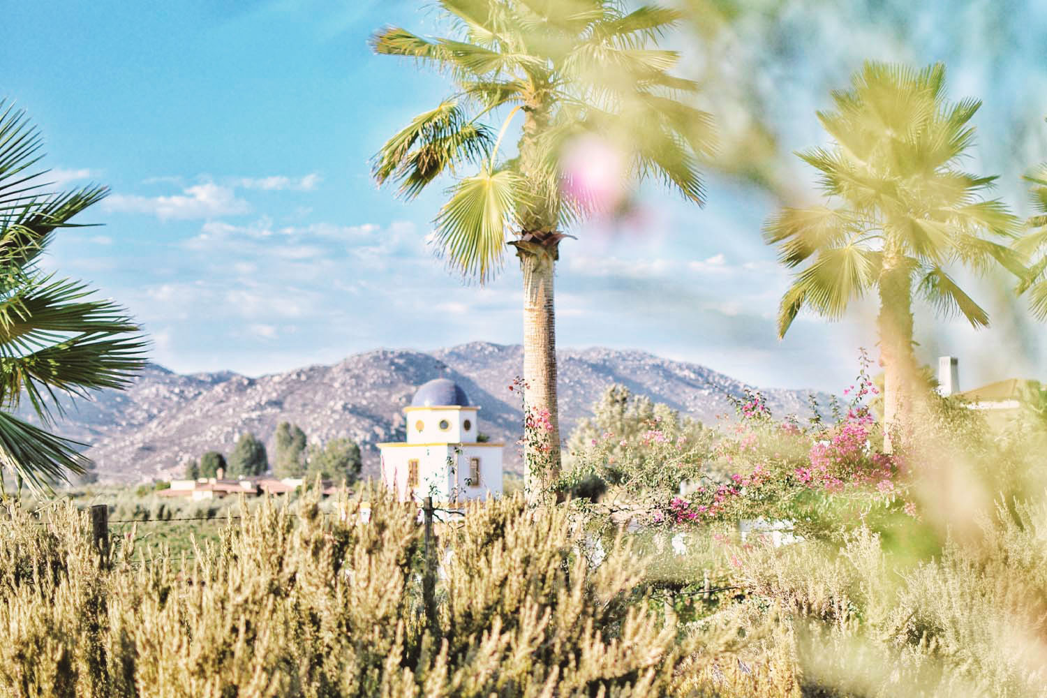 Valle De Guadalupe