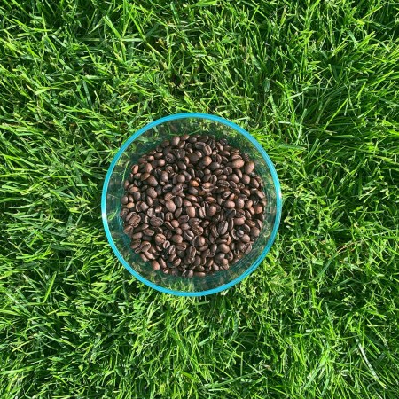 Coffee beans in container on grass