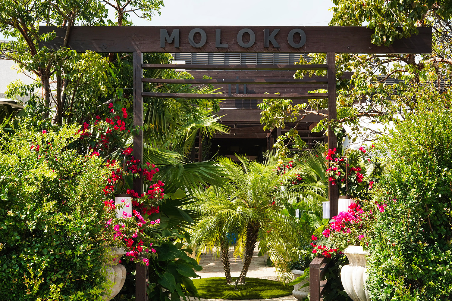 Exterior of Moloko