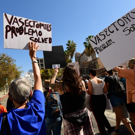 A women's march in Los Angeles, with two women holding signs arguing in favor of vasectomies.