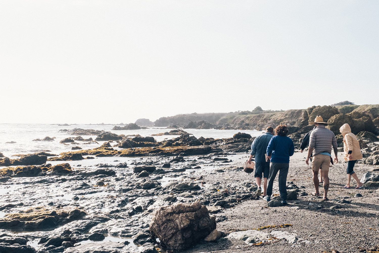 Wild foraging at Estero Bluffs with Marley Family Seaweeds.