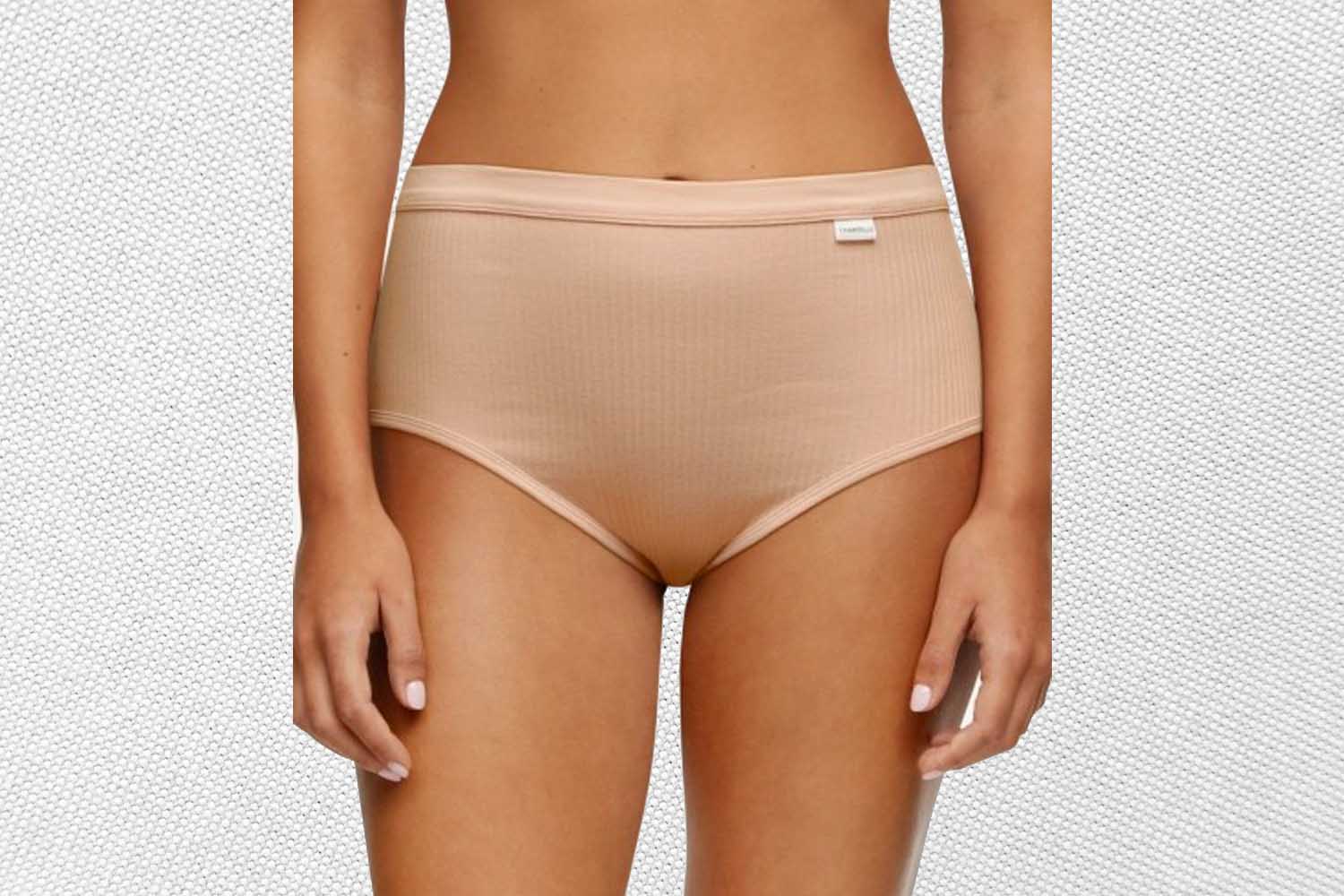 Chantelle Cotton Comfort High Waist Brief