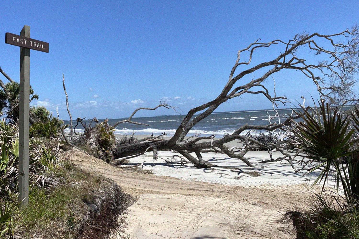 Blackbeard Island National Wildlife Refuge