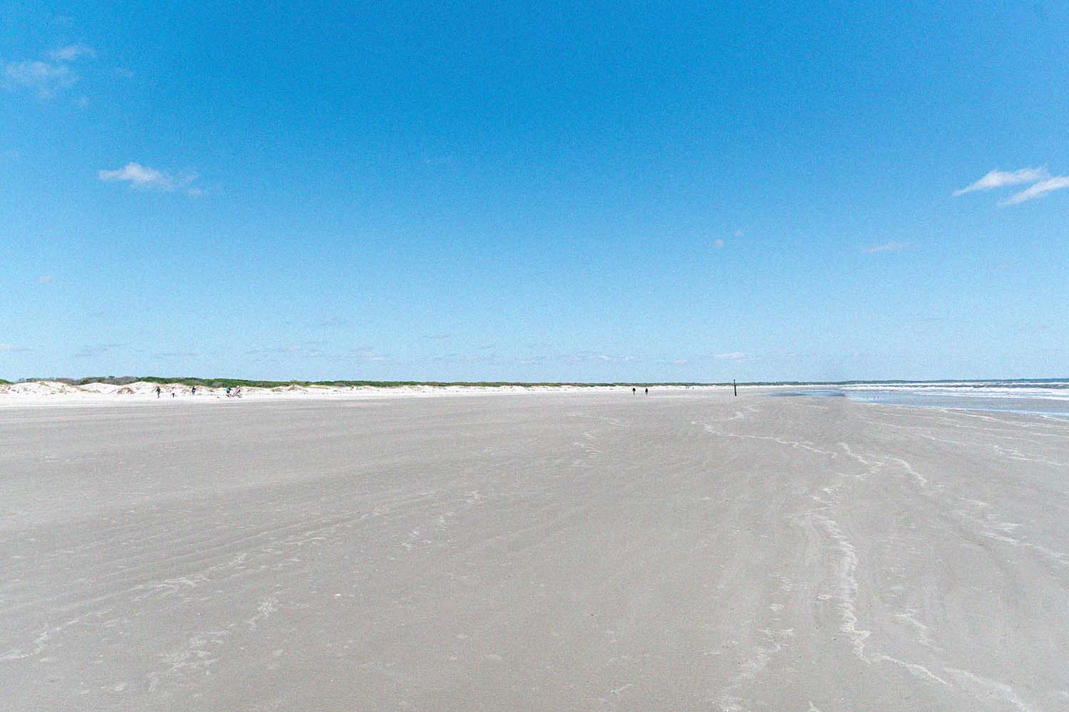 Cumberland Island National Seashore