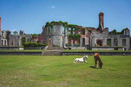 Dungeness Ruins on Cumberland Island