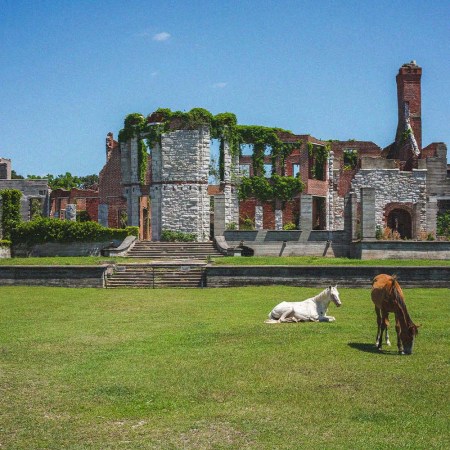 Dungeness Ruins on Cumberland Island