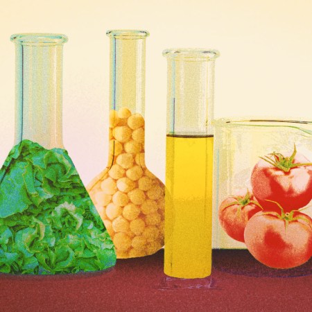 Salad Ingredients in beakers