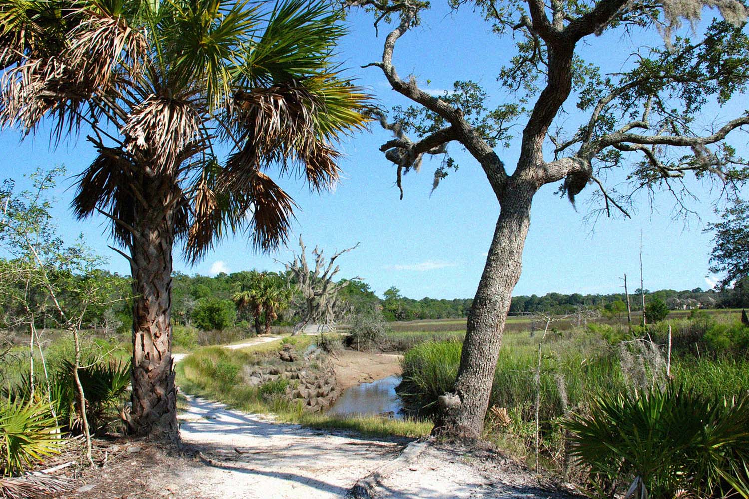 Skidaway Island State Park