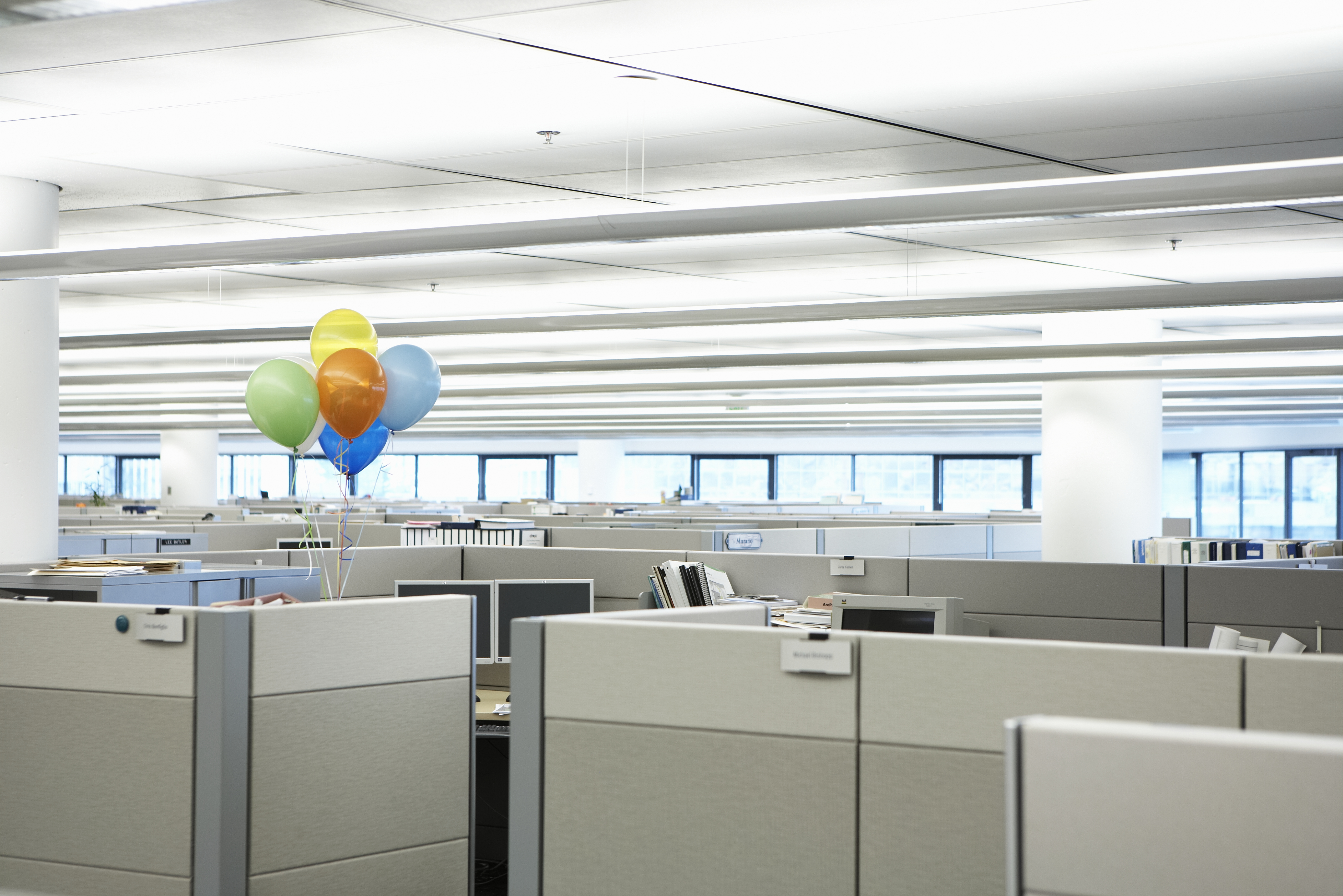 Balloons floating in the middle of a boring office.