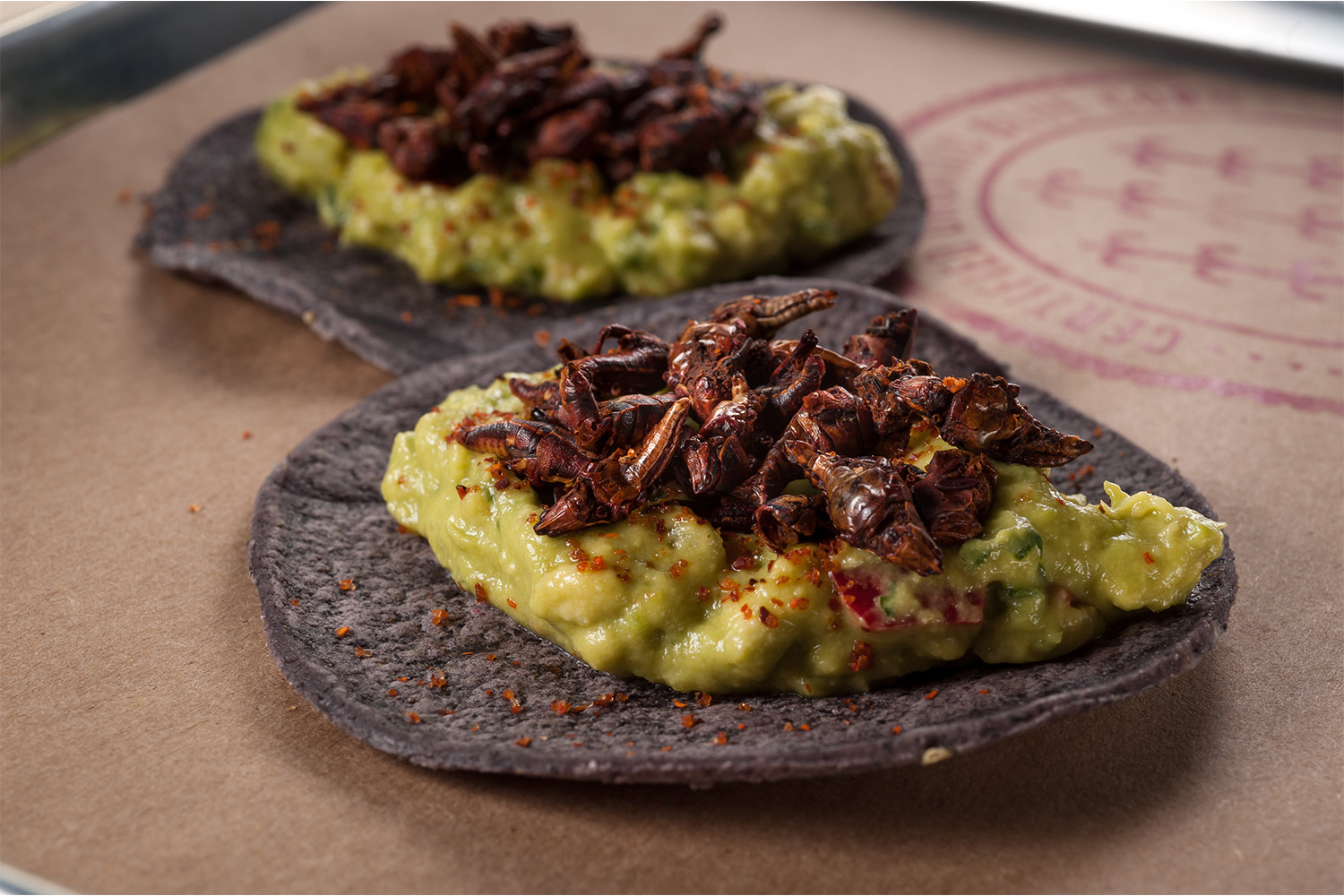 Taquiza's Chapulines Tacos